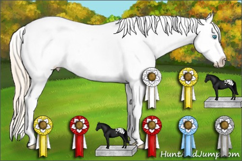Horse Color: White Spotted Perlino Blanket 