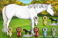 Horse Color:White Spotted Perlino Appaloosa 