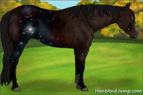 Horse Color: ERROR: UNKNOWN ANOMALY