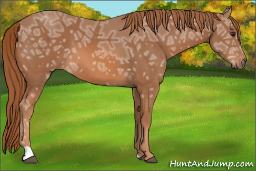 Horse Color: Chestnut Ice 