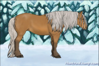 Horse Color:Silver Buckskin 