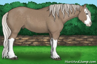 Horse Color:Silver Grullo Splash