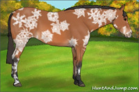 Horse Color:Bay Ice 
