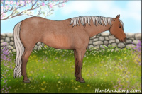Horse Color:Silver Bay Roan 