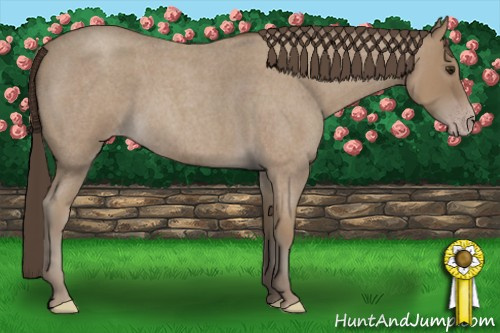 Horse Color: Sable Champagne Roan 
