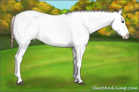 Horse Color:Bay Splash Snowflake Varnish 