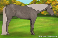Horse Color:Silver Black 