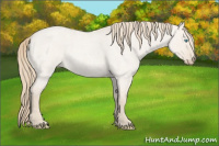 Horse Color:Smoky Creme Roan Dun 