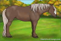 Horse Color:Silver Black 