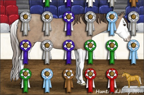 Horse Color: Sable Champagne Splash Rabicano 