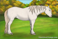 Horse Color:Smoky Creme Roan Dun 