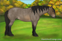 Horse Color:Gray Buckskin Roan 