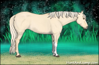 Horse Color:Palomino Dun