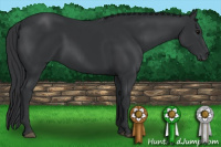 Horse Color:Brown 