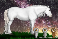 Horse Color:Palomino Tobiano Blanket 