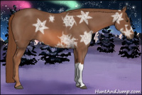 Horse Color:Liver Red Ice Roan