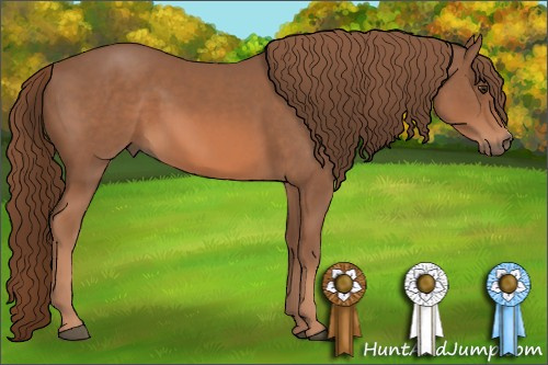 Horse Color: Liver Chestnut 