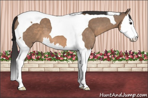 Horse Color: Brown Dun Splash Tobiano 