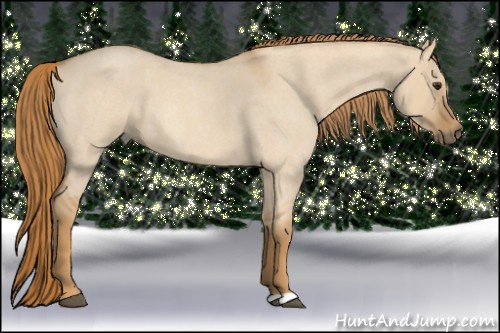 Horse Color: Red Dun Roan 