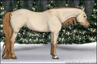 Horse Color:Red Dun Roan