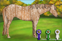 Horse Color:Perlino Sabino  Brindle