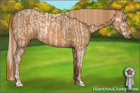 Horse Color:Perlino Sabino Brindle