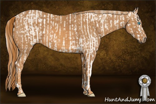Horse Color: Perlino Dun Sabino  Brindle