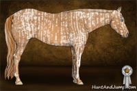 Horse Color:Perlino Dun Sabino  Brindle