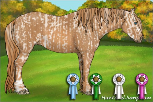 Horse Color: Perlino Sabino  Brindle