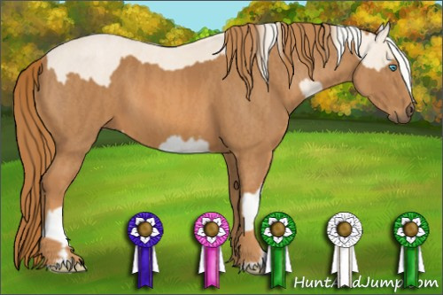 Horse Color: Cremello Sabino  Brindle
