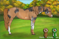 Horse Color:Buckskin Sabino Brindle