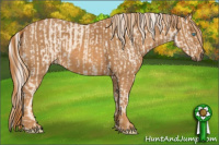 Horse Color:Cremello Sabino  Brindle