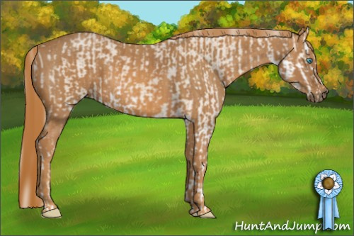 Horse Color: Perlino Sabino  Brindle