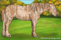 Horse Color:Cremello Sabino Brindle