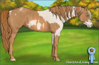 Horse Color:Perlino Sabino  Brindle