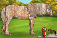 Horse Color:Cremello Sabino  Brindle