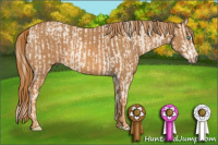 Horse Color:Cremello Sabino  Brindle