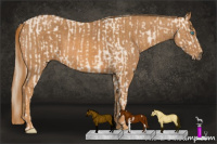 Horse Color:Perlino Sabino Brindle