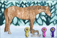 Horse Color:Silver Smoky Black Pearl Sabino  Brindle