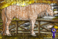 Horse Color:Perlino Sabino Brindle