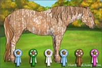 Horse Color:Cremello Sabino  Brindle