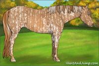 Horse Color:Cremello Sabino Brindle