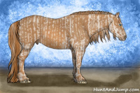 Horse Color:Smoky Creme Sabino  Brindle