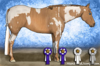 Horse Color:Cremello Sabino Splash Brindle