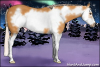 Horse Color:Chocolate Palomino Splash Frame 