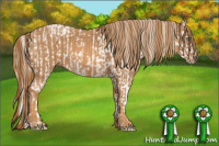 Horse Color:Perlino Sabino Brindle