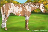 Horse Color:Perlino Sabino Brindle