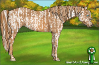 Horse Color:Perlino Sabino Brindle