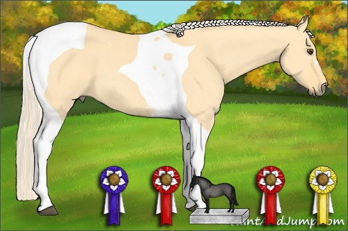Horse Color: Palomino Dun Tobiano 