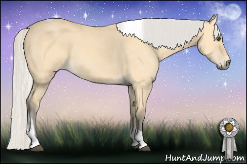 Horse Color: Silver Buckskin Dun Tobiano 